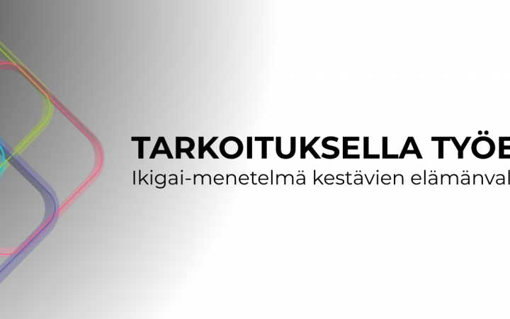 Momentum -hankkeessa tuotettua julkaisu